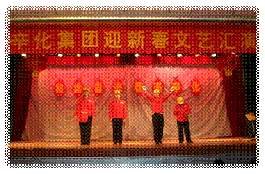 说明: D:\新加卷 (D)\hyf\辛集化工B卷(2017.3.28)\配图\第三部分四党建与企业文化\插图29——大型演出\2008年迎新春文艺汇演.JPG